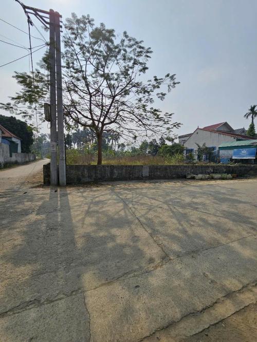 Nhà phố 24m2, 3 tầng, nở hậu quận 10, ngay chợ ẩm thực Hồ Thị Kỷ